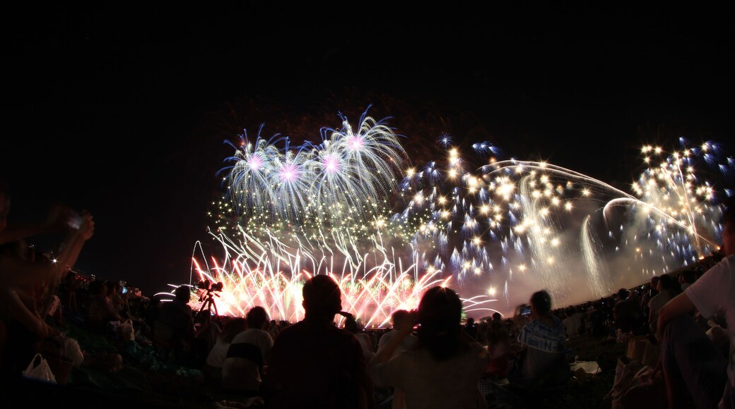 Kashiwazaki Sea Fireworks Festival in Japan