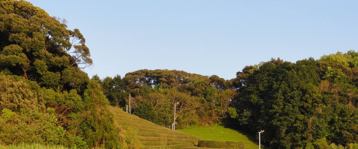 A lush green landscape with terraced fields and dense forested hills.