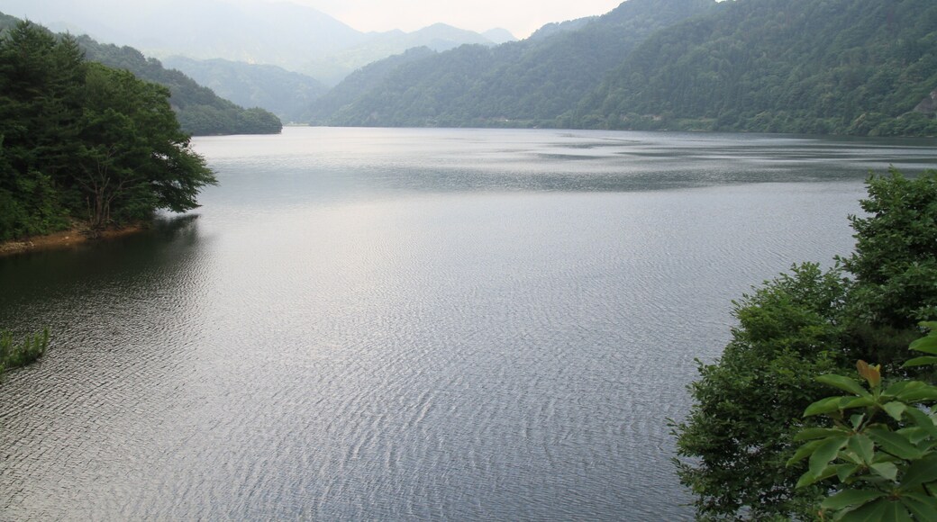 Odo, Shibata, Niigata Prefecture 957-0345, Japan