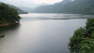 Odo, Shibata, Niigata Prefecture 957-0345, Japan