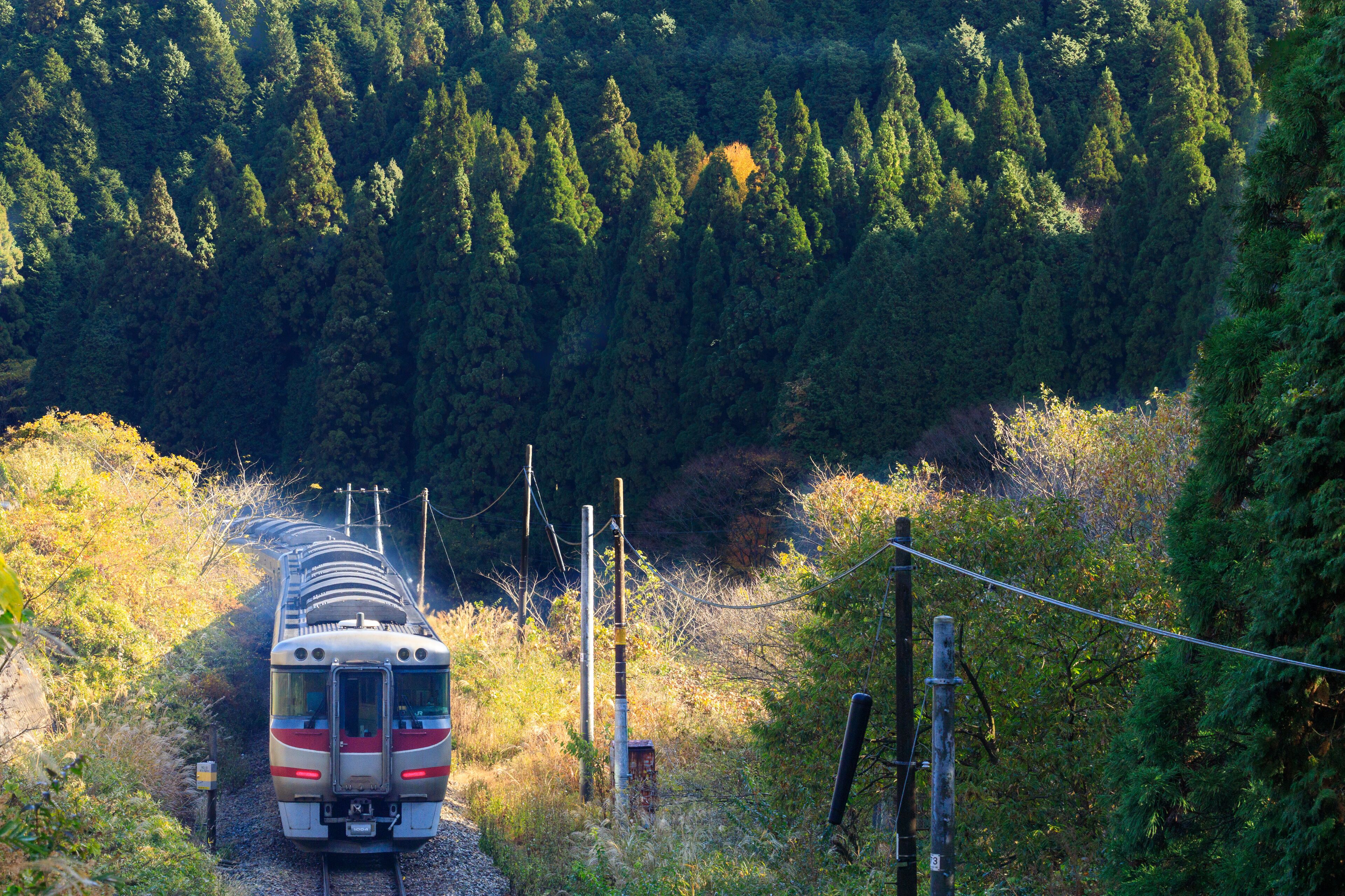 朝陽を浴びて走る播但線の特急かにカニはまかぜ気動車
