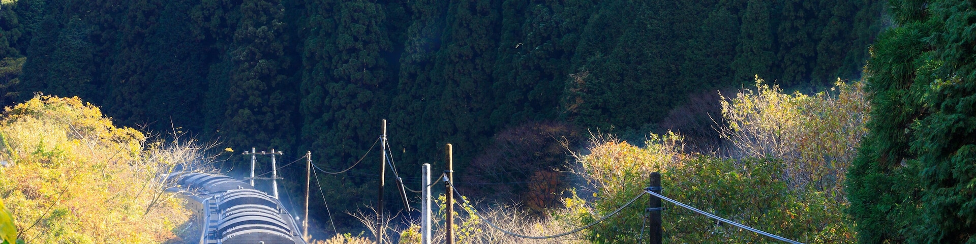 朝陽を浴びて走る播但線の特急かにカニはまかぜ気動車