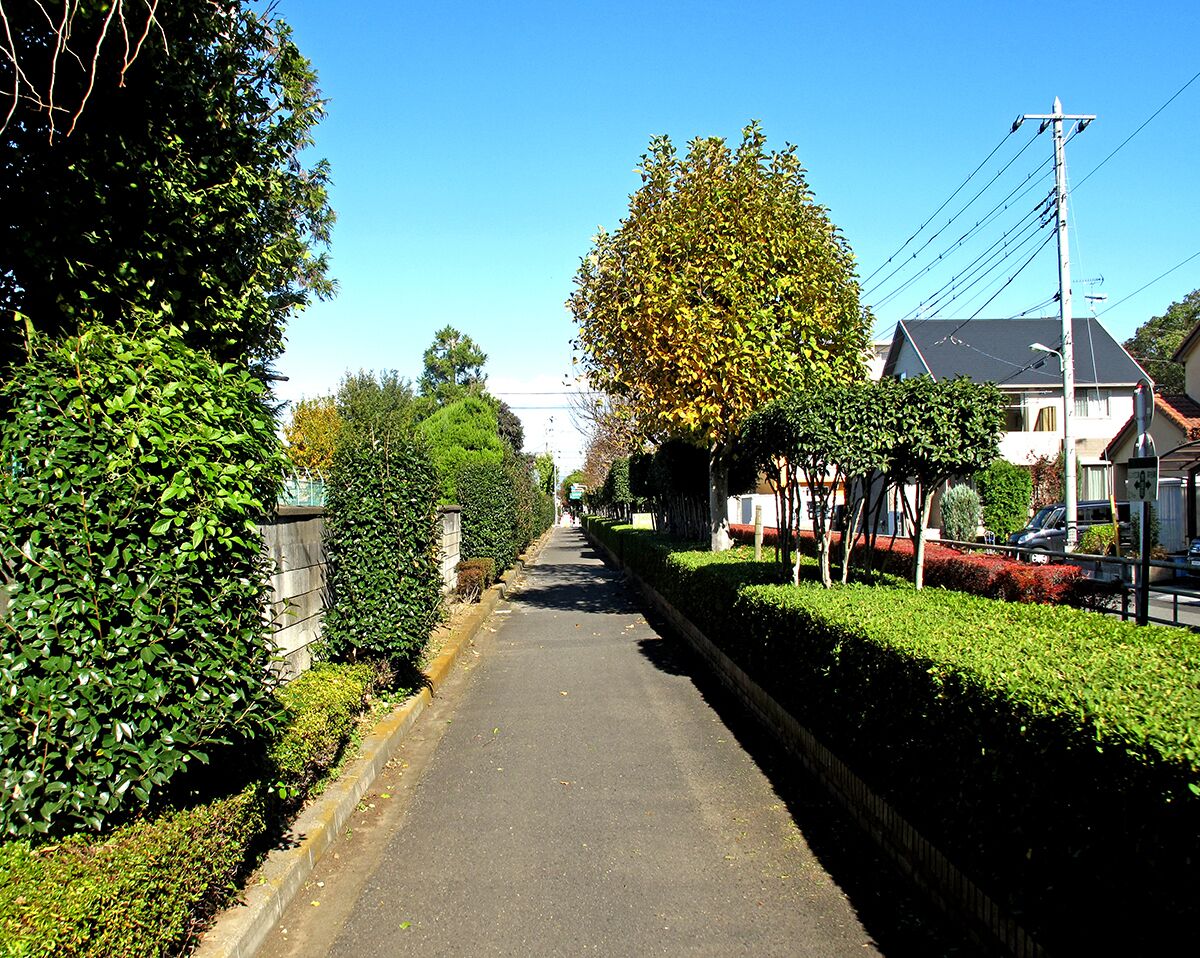 Fukaya City Cycle Road