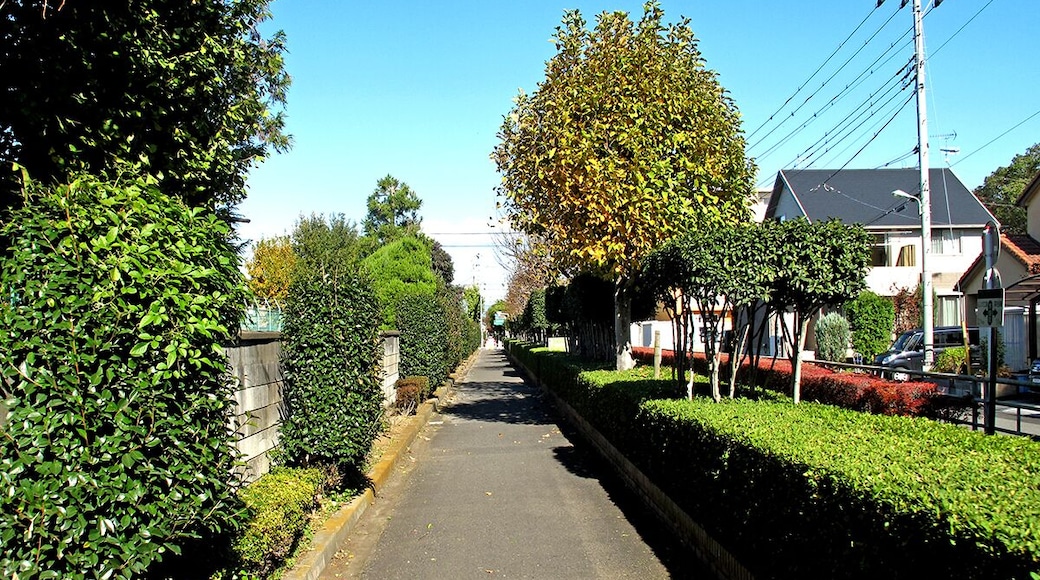 Fukaya City Cycle Road