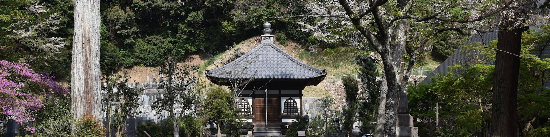 A scene of the precincts of a Japanese temple,'Honkoji temple' in Kosai City, Shizuoka Prefecture.