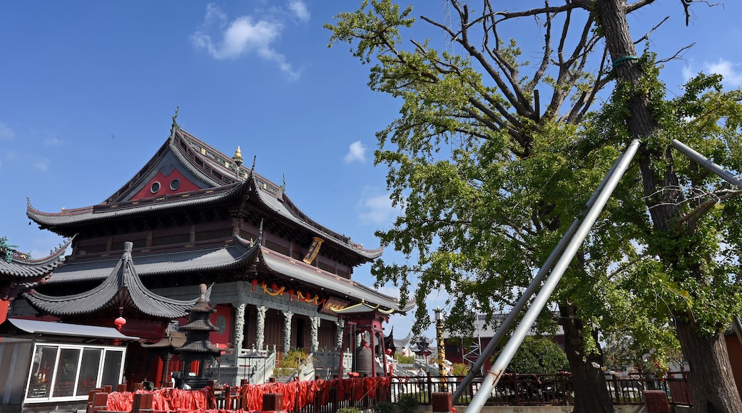 chinese temple in the park
