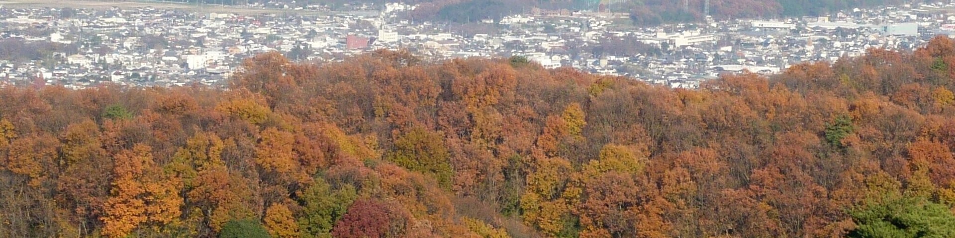 稲沢ハイキングコース1