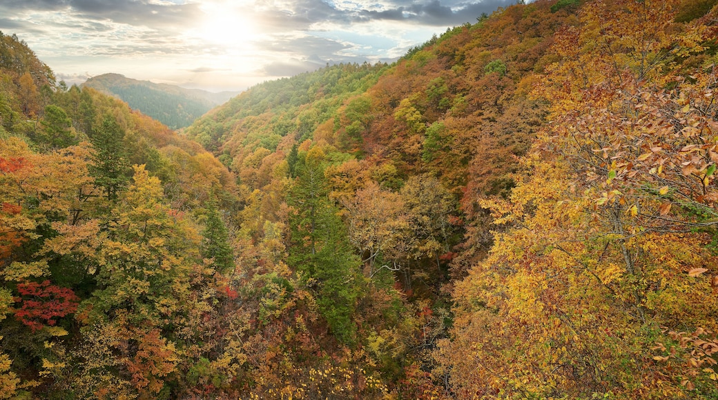 sun light skyline colorful mountain of Nakatsugawa Bridge view point in autumn fukushima