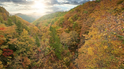 sun light skyline colorful mountain of Nakatsugawa Bridge view point in autumn fukushima