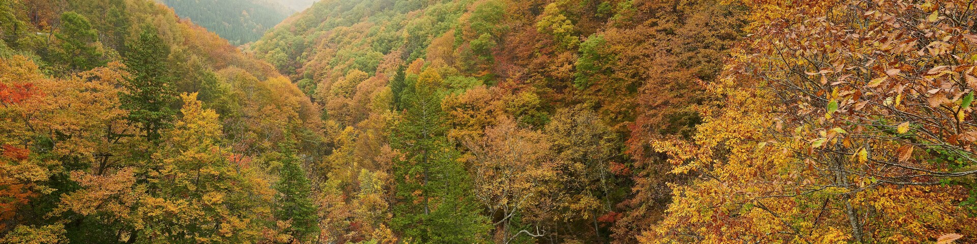 sun light skyline colorful mountain of Nakatsugawa Bridge view point in autumn fukushima