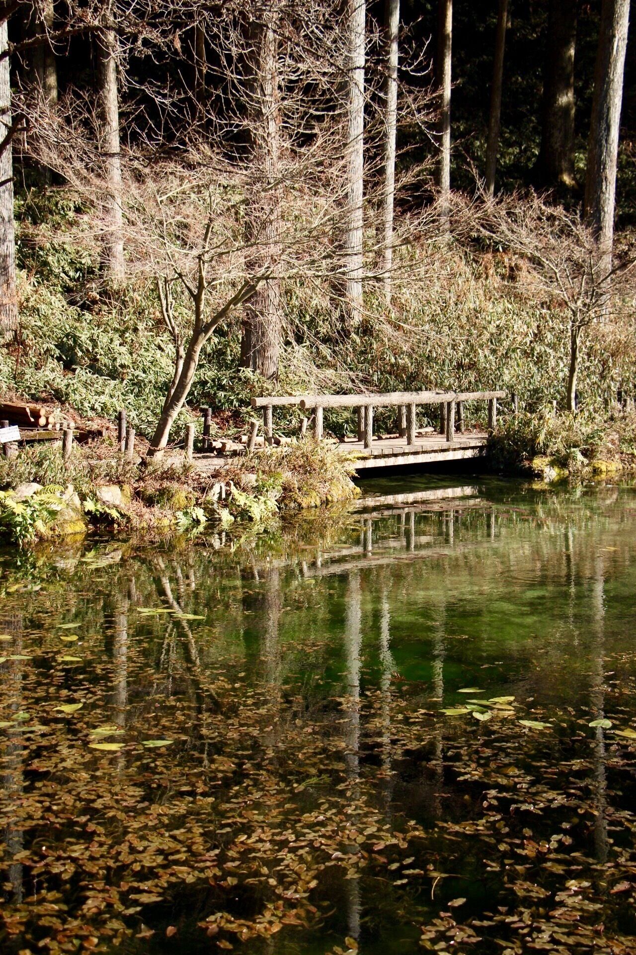 #winter#japan#monet’slake#