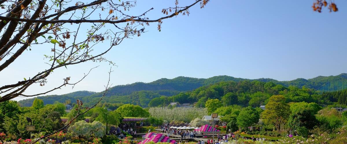 A lush garden with vibrant flowers, a bridge, and a backdrop of green hills.
