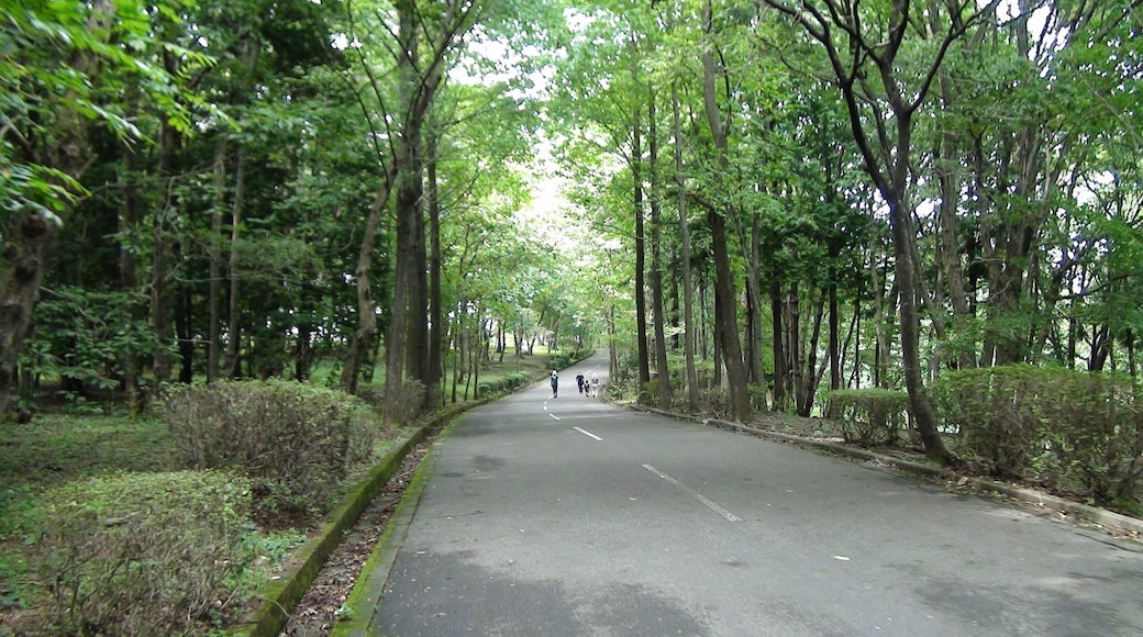 真岡井頭公園
