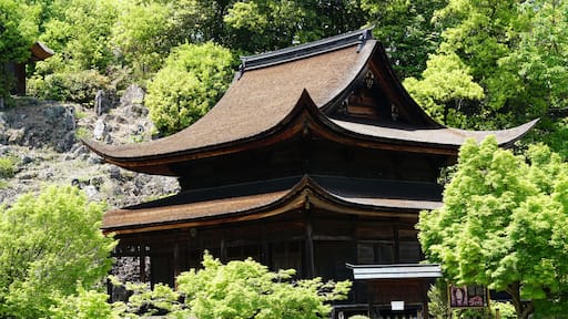 Tajimi