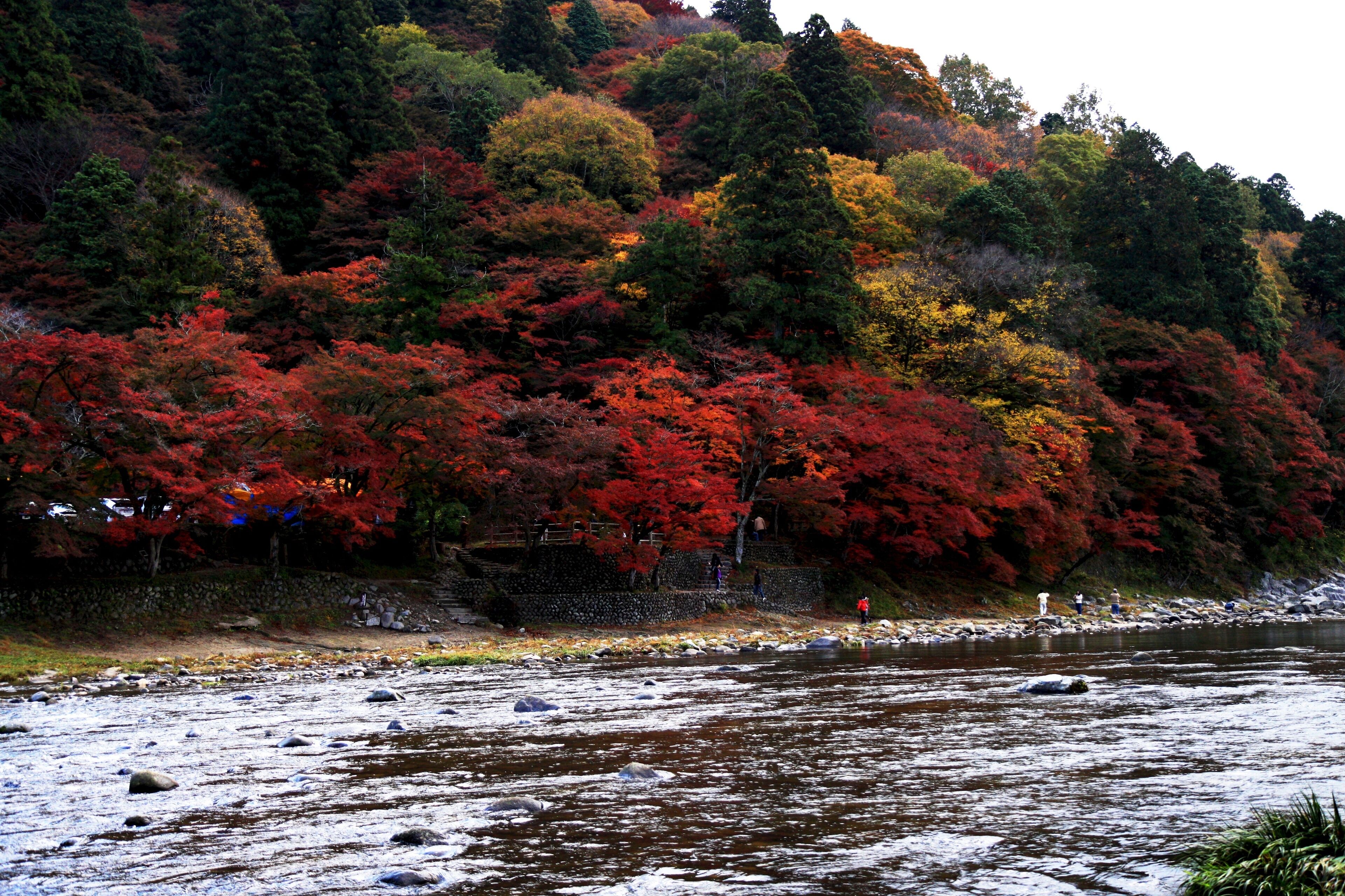 香嵐渓 (愛知県豊田市足助町)