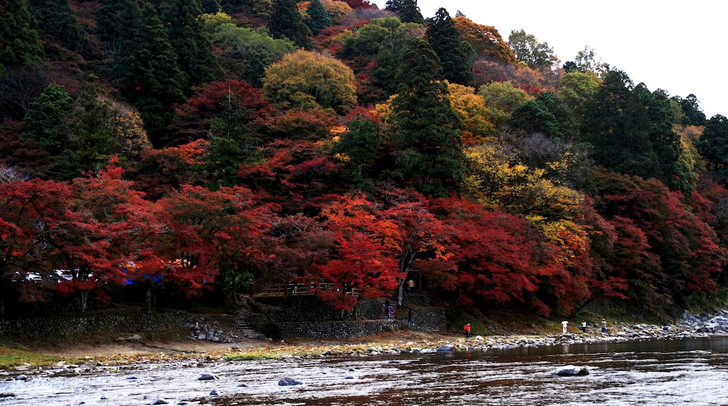 香嵐渓 (愛知県豊田市足助町)