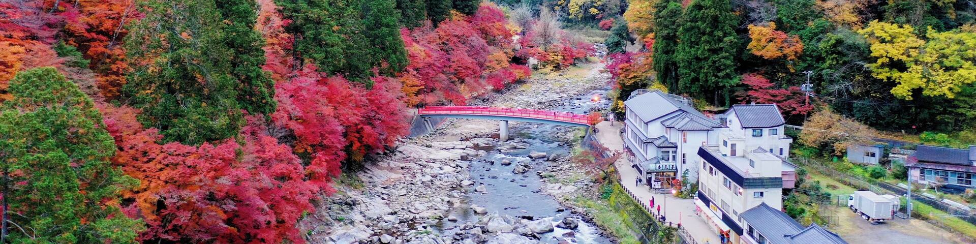 Along the stream, the beautiful autumn leaves attracted many tourists from Japan and overseas to come and this is a dream visiting spot to many photographers.