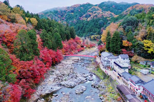 Along the stream, the beautiful autumn leaves attracted many tourists from Japan and overseas to come and this is a dream visiting spot to many photographers.