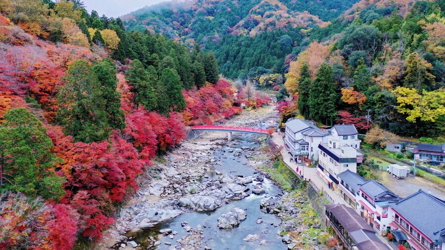 Along the stream, the beautiful autumn leaves attracted many tourists from Japan and overseas to come and this is a dream visiting spot to many photographers.