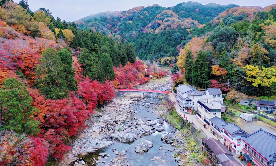 Along the stream, the beautiful autumn leaves attracted many tourists from Japan and overseas to come and this is a dream visiting spot to many photographers.