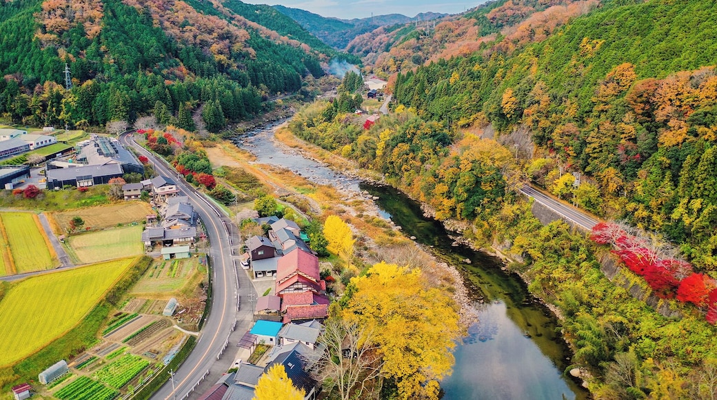 The Yahagi River is a river that flows from Nagano Prefecture's Mount Ōkawairi, through Gifu Prefecture, and enters Mikawa Bay from Aichi Prefecture in Japan. It is one of Japan's first-class rivers. The picture is taken at Sasadocho in autumn.