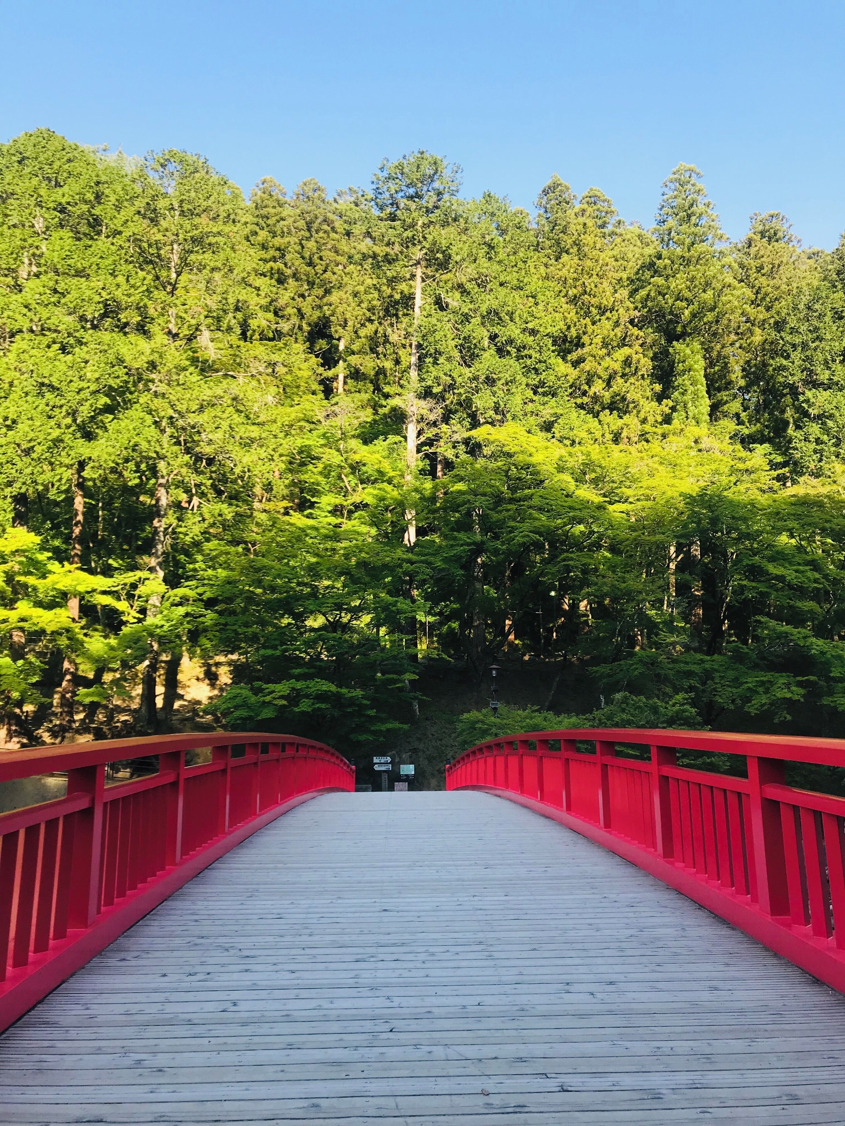 橋の上からの新緑
command a view of fresh green on the bridge
桥上遥望新绿
