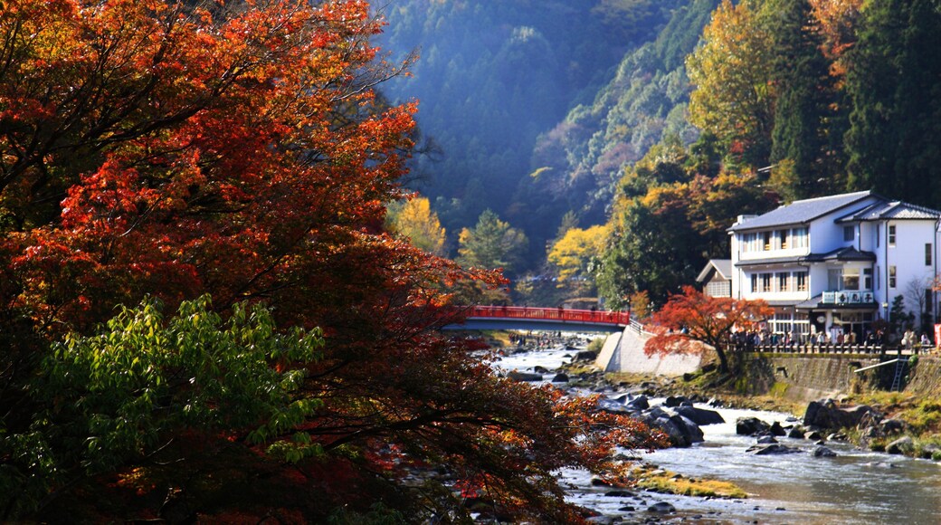 香嵐渓 (愛知県豊田市足助町)