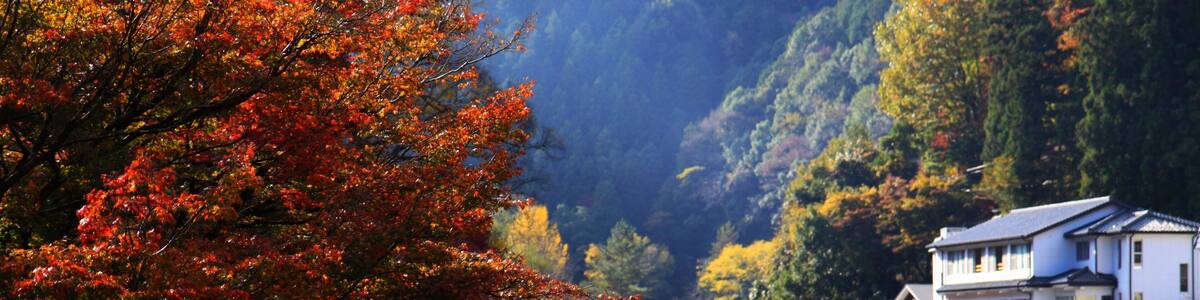 香嵐渓 (愛知県豊田市足助町)