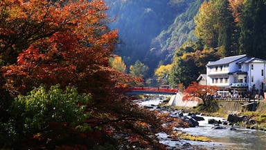 Une rivière bordée d’arbres aux couleurs automnales, un pont et un bâtiment traditionnel.