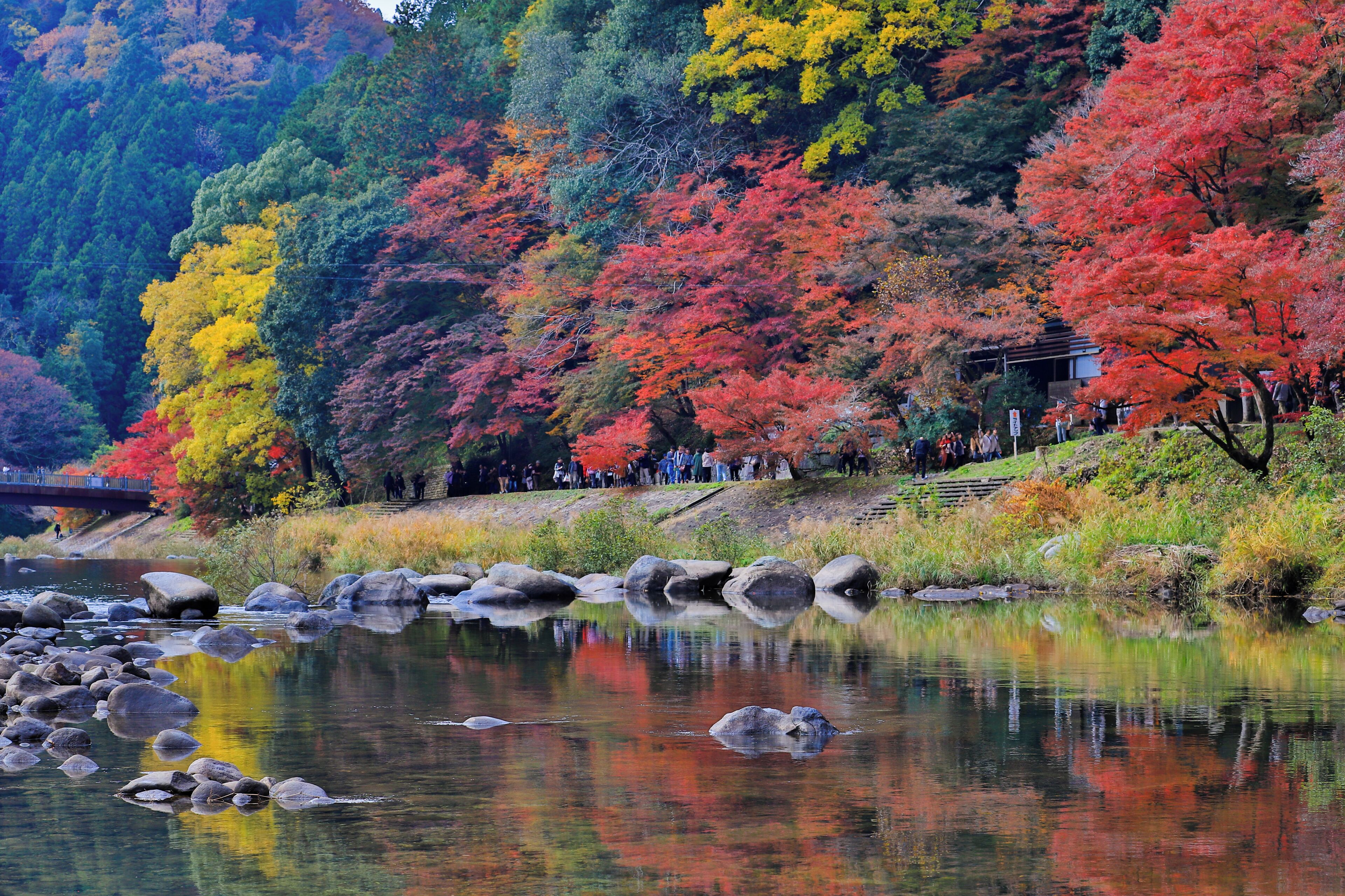 This is a famous spot of autumn leaves near Nagoya. Its worth to spend one day to travel around to see it's day and night view.