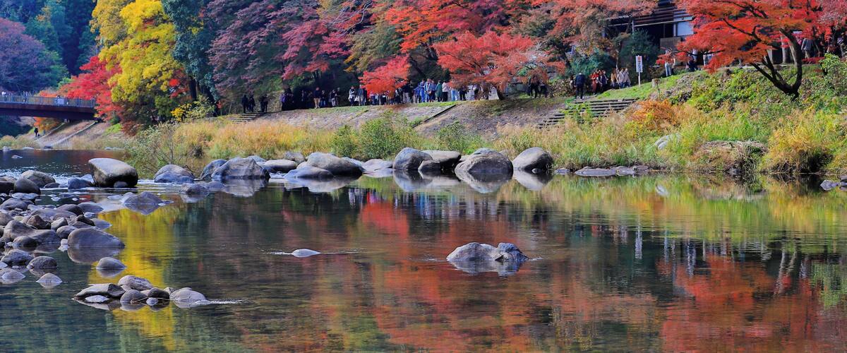 A serene river with rocks, surrounded by autumn-colored trees and a bridge in the background.