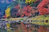 A serene river with rocks, surrounded by autumn-colored trees and a bridge in the background.