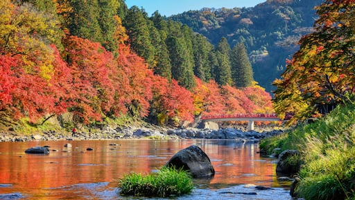 Korankei valley in autumn The leaves turn red is very beautiful. There are streams and red Bridge Taigetsu a popular spot to see the changing leaves in Japan.