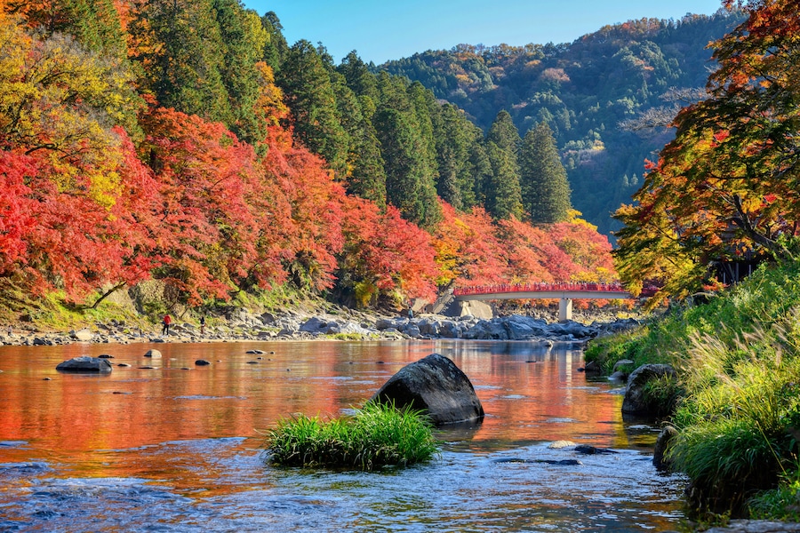 A river with autumn foliage, a bridge, and a mountainous backdrop.