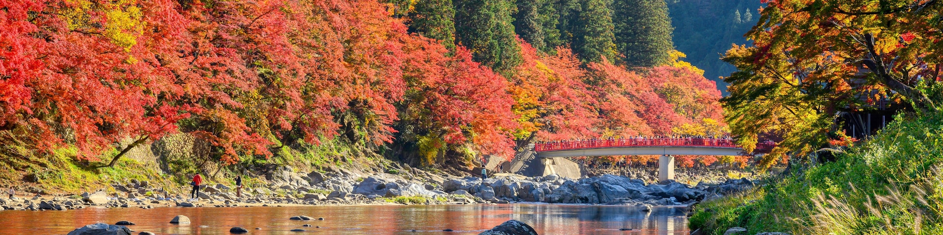 Un río con follaje otoñal, un puente y montañas al fondo.