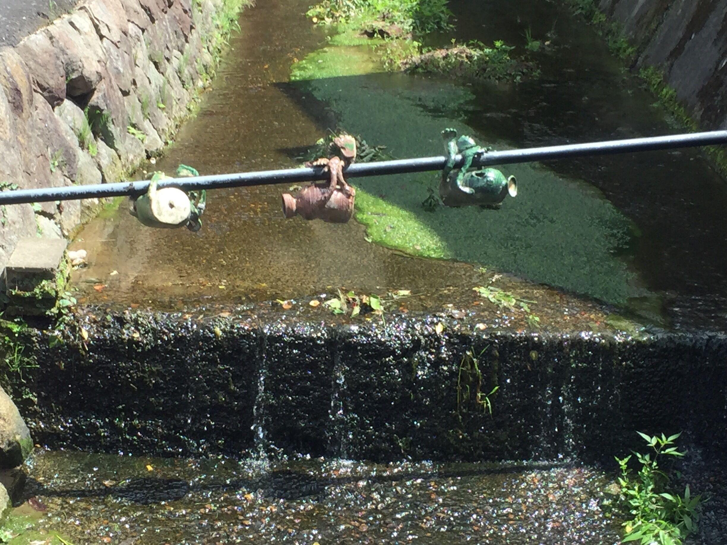 とっくりトックン