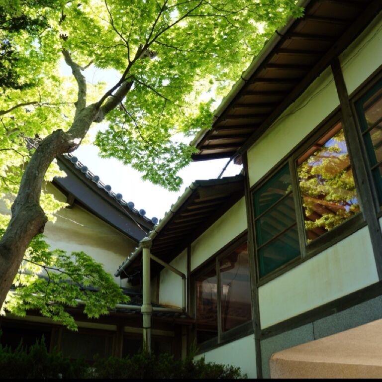 八橋かきつばた園