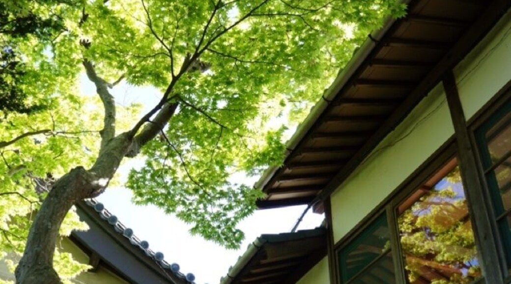 八橋かきつばた園