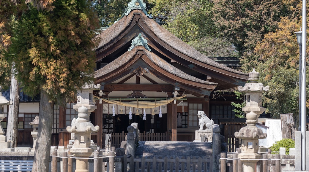 Visit Chiryu Shrine in Chiryu City, Aichi Prefecture 愛知県知立市の知立神社を参拝