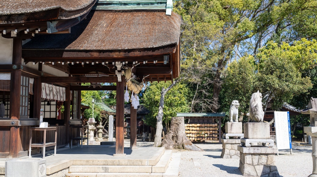 Visit Chiryu Shrine in Chiryu City, Aichi Prefecture 愛知県知立市の知立神社を参拝
