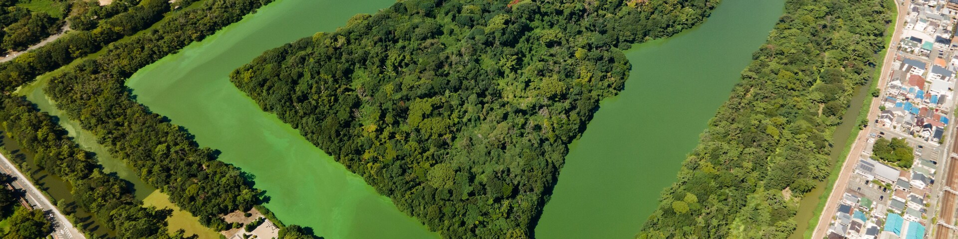 An aerial view of a city with a large green park shaped like a heart, surrounded by dense urban areas.