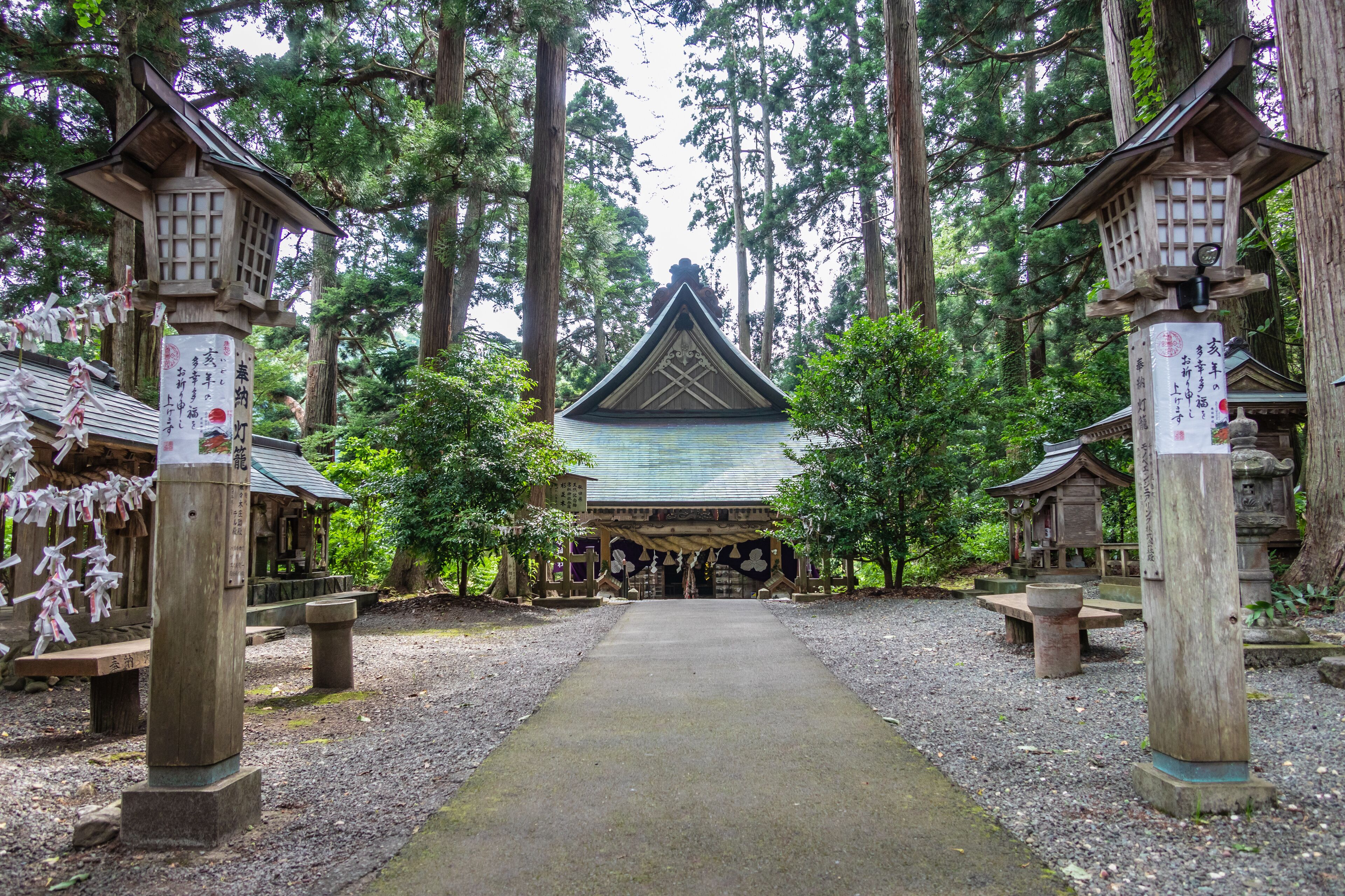 A traditional Japanese shrine with a central building, surrounded by tall trees and wooden lanterns.