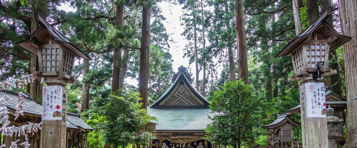 A traditional Japanese shrine with a central building, surrounded by tall trees and wooden lanterns.
