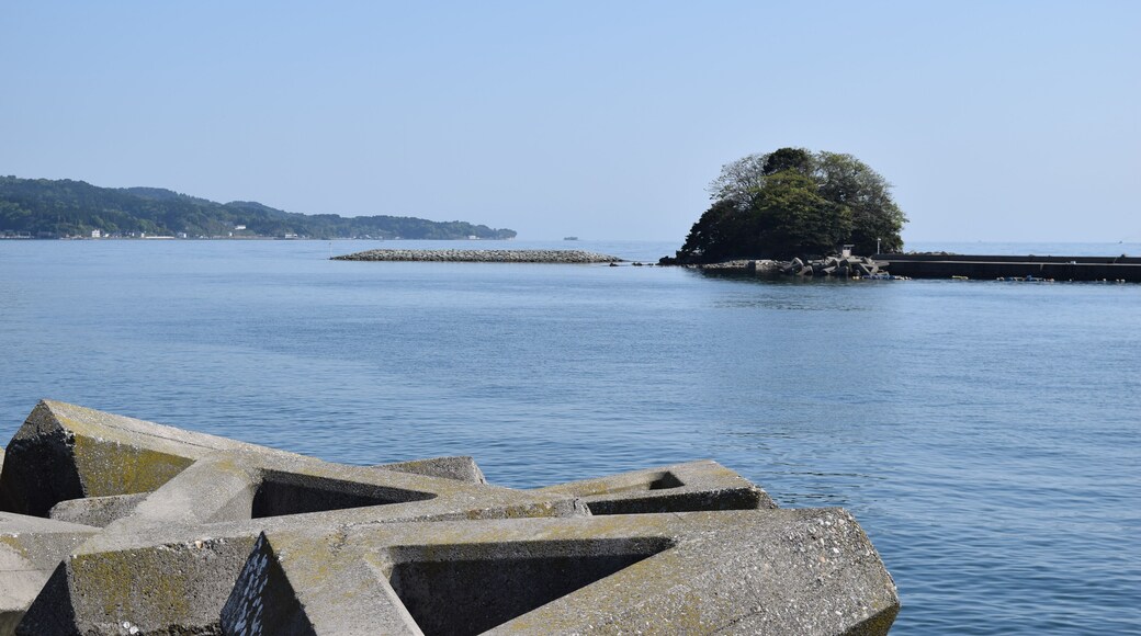 氷見港沖にある唐島