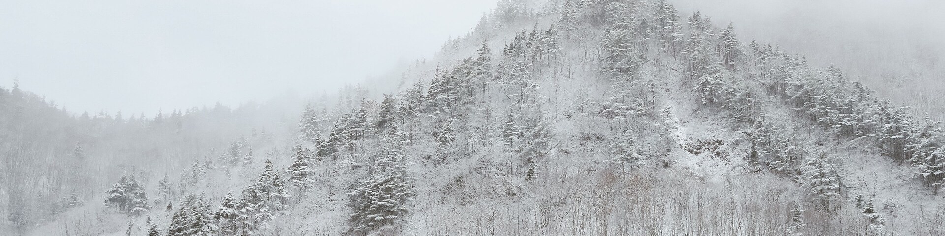 A snow-covered mountain with dense forests at its base.