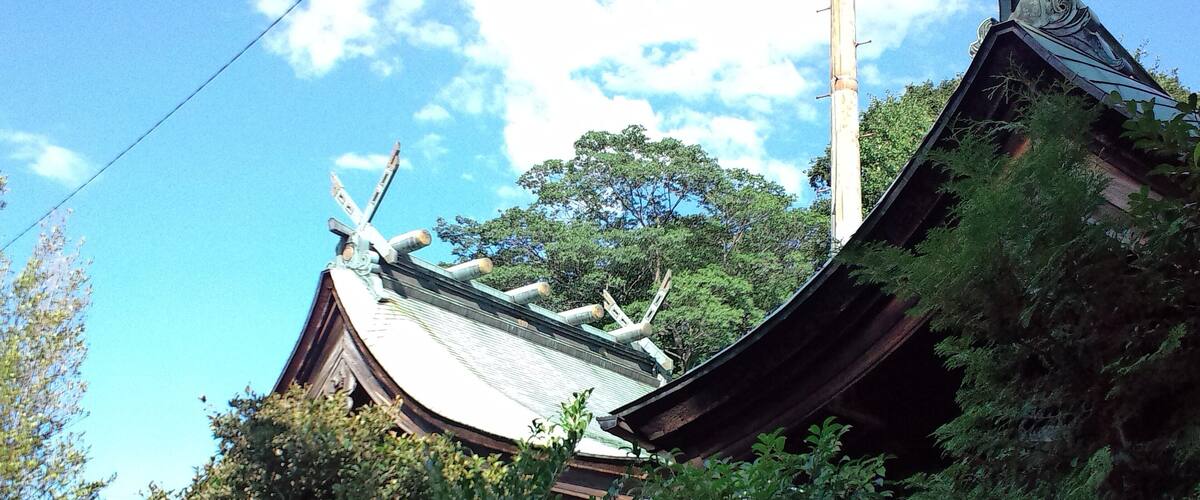 A traditional Japanese temple with a curved roof, surrounded by lush greenery.