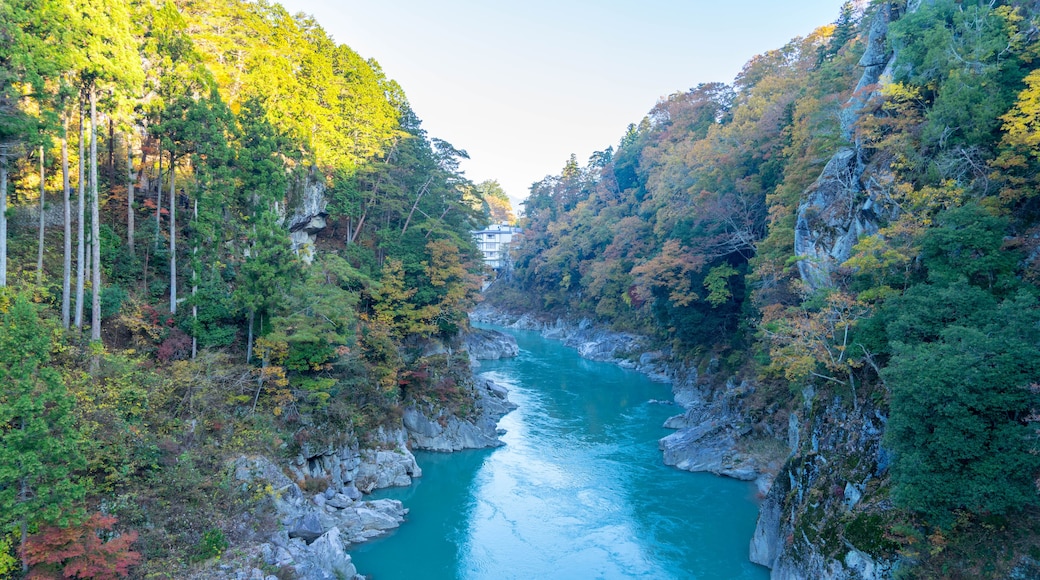 天竜峡