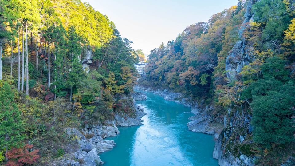 A river flanked by rocky cliffs and dense forest.