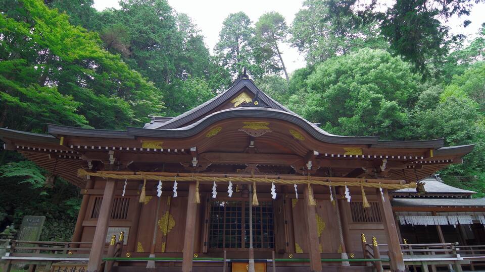A traditional Japanese building with a curved roof and golden decorations, surrounded by lush green trees.