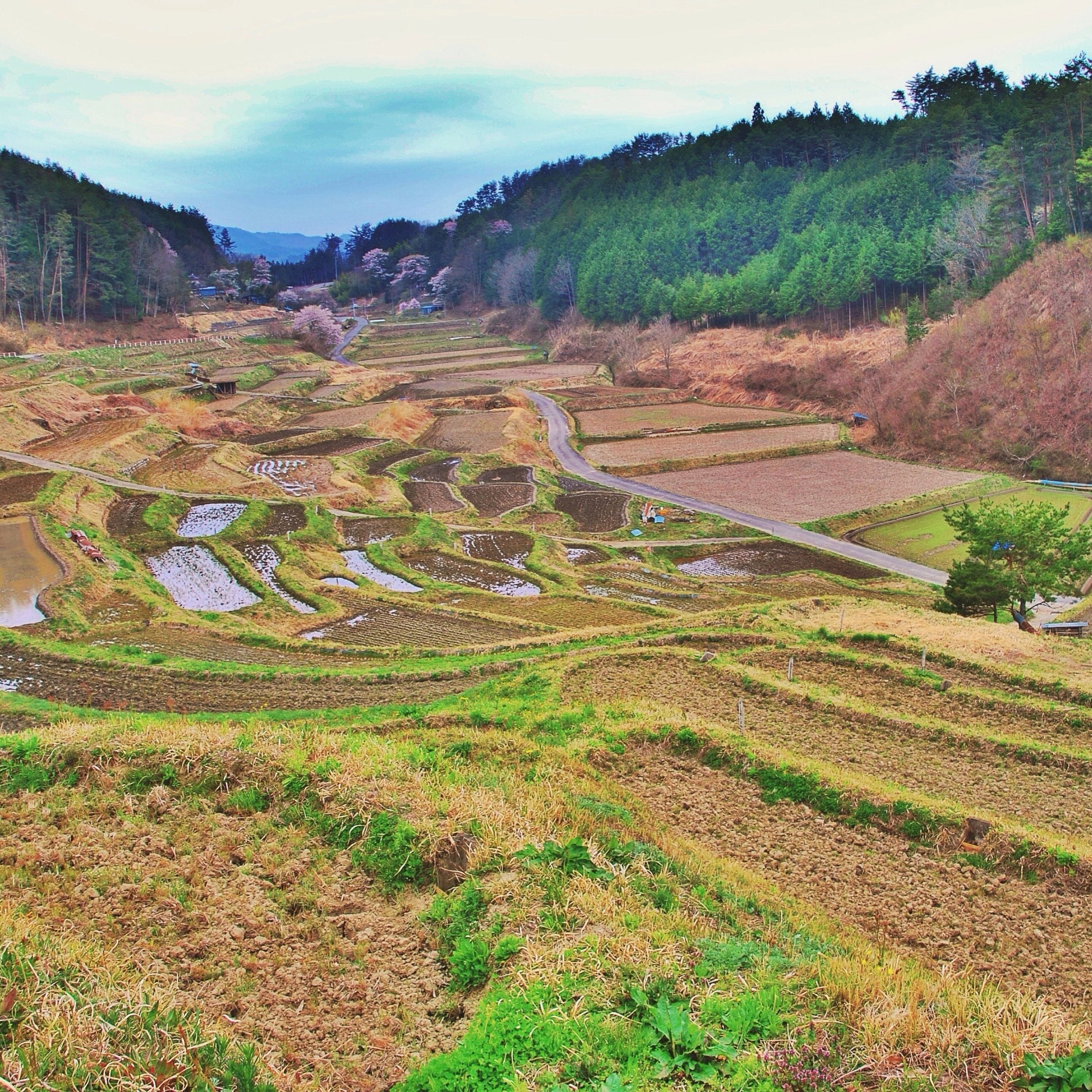 Kamihisakata, Iida, Nagano Prefecture 399-2611, Japan
